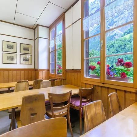 Pensionat Alpenhof Mountain *