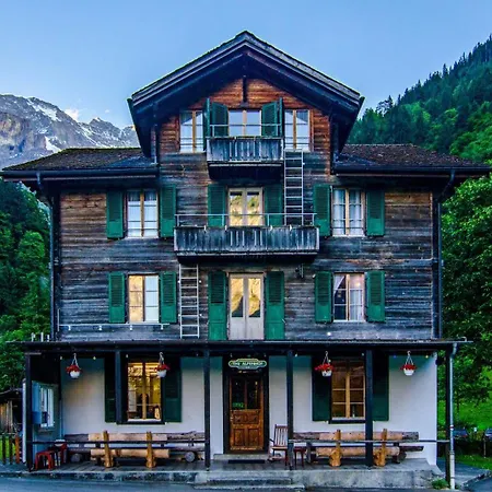 Pensionat Alpenhof Mountain *