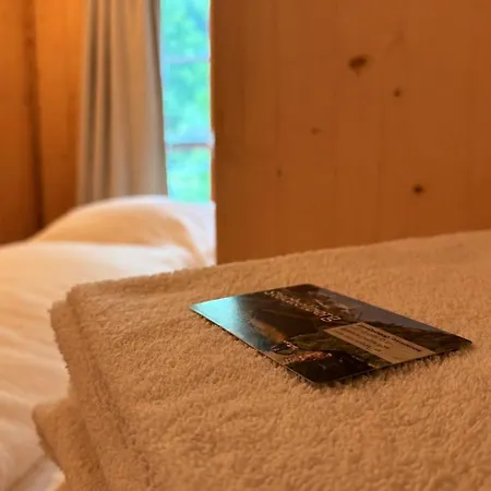بيت ضيافة Alpenhof Mountain ستيتشيلبيرغ