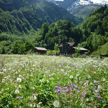 Alpenhof Mountain בית הארחה שטכלברג
