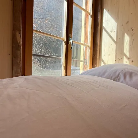 Guest house Alpenhof Mountain Stechelberg