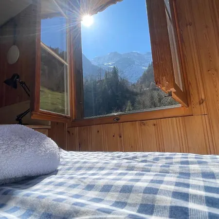 Guest house Alpenhof Mountain