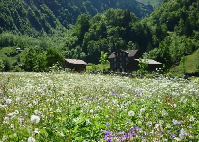 Alpenhof Mountain 3*